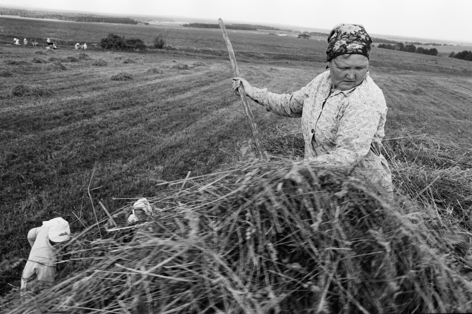 Haymaking, Mari-El