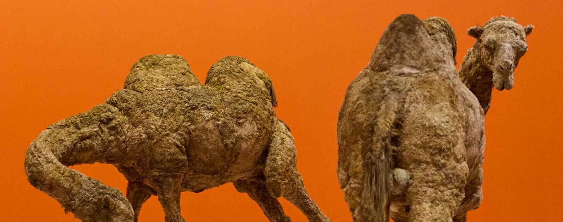 Current and Upcoming Exhibitions at the Whitney Museum